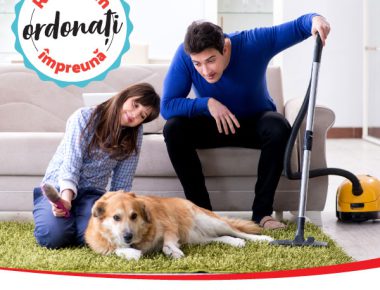 Cum menții casa curată atunci când petreci mult timp cu câinele tău înăuntru?