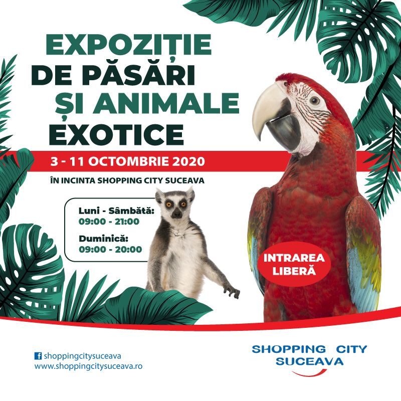 Expoziție de păsări și animale exotice, la Shopping City Suceava