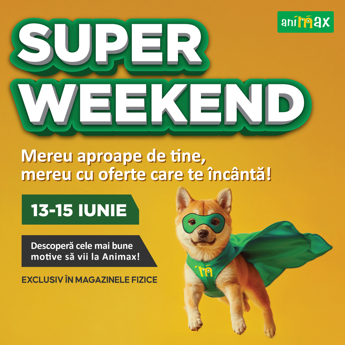 Super weekend la Animax
