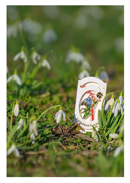 Târgul de mărțișoare și cadouri 